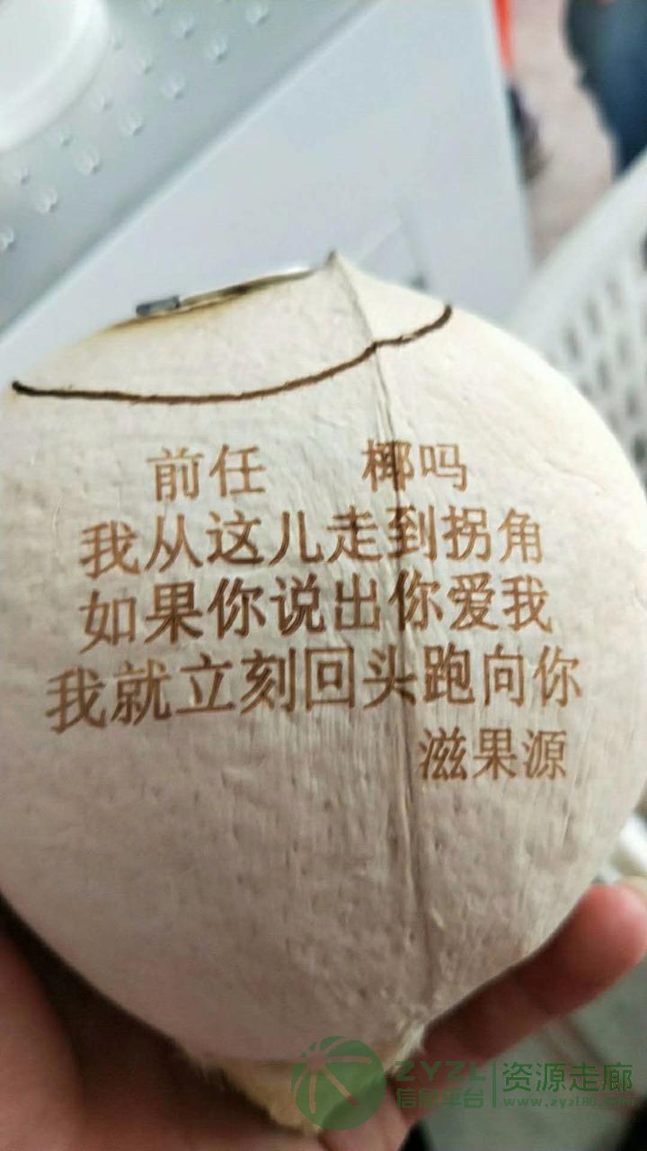 椰子壳激光打标机镭雕机厂家直销