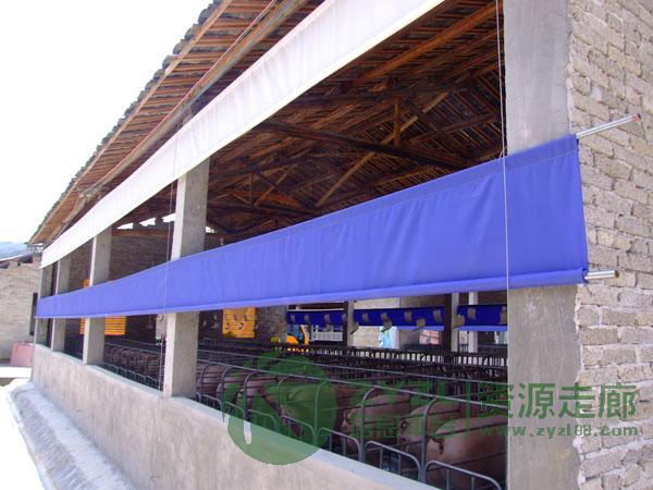 定做白色猪场帘布 卷帘加工 蓬布卷帘厂 猪场帘
