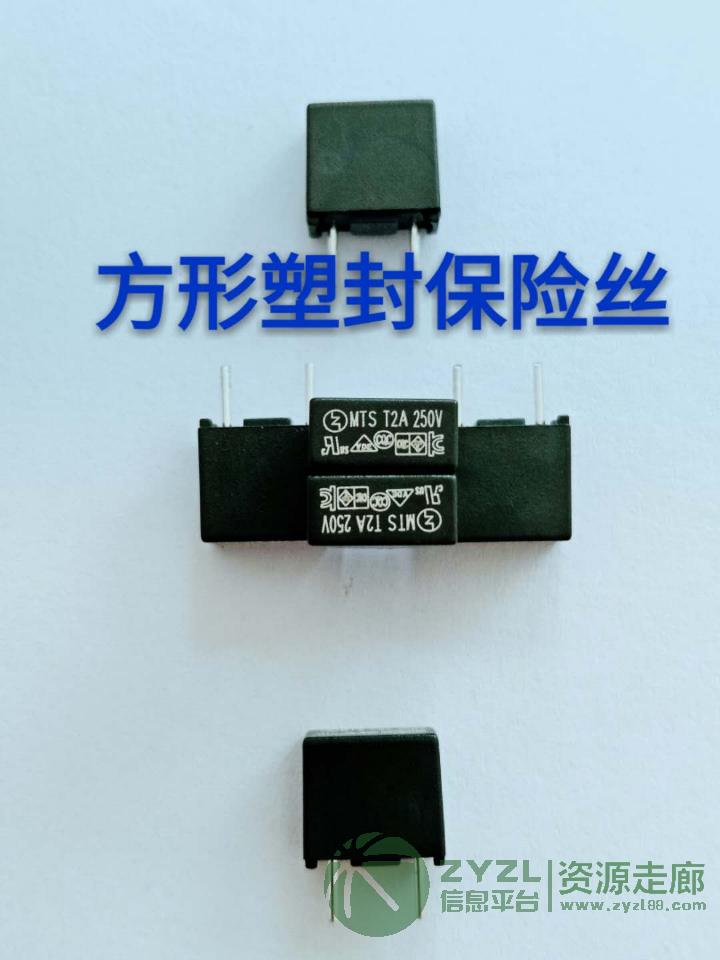 方形塑封保险丝MTS 厂家直销 T2A/250V