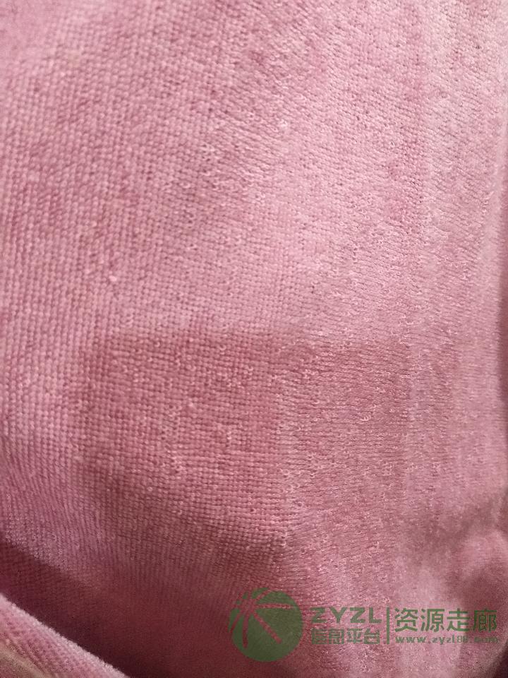 针织梭织全涤全棉涤锦毛巾布